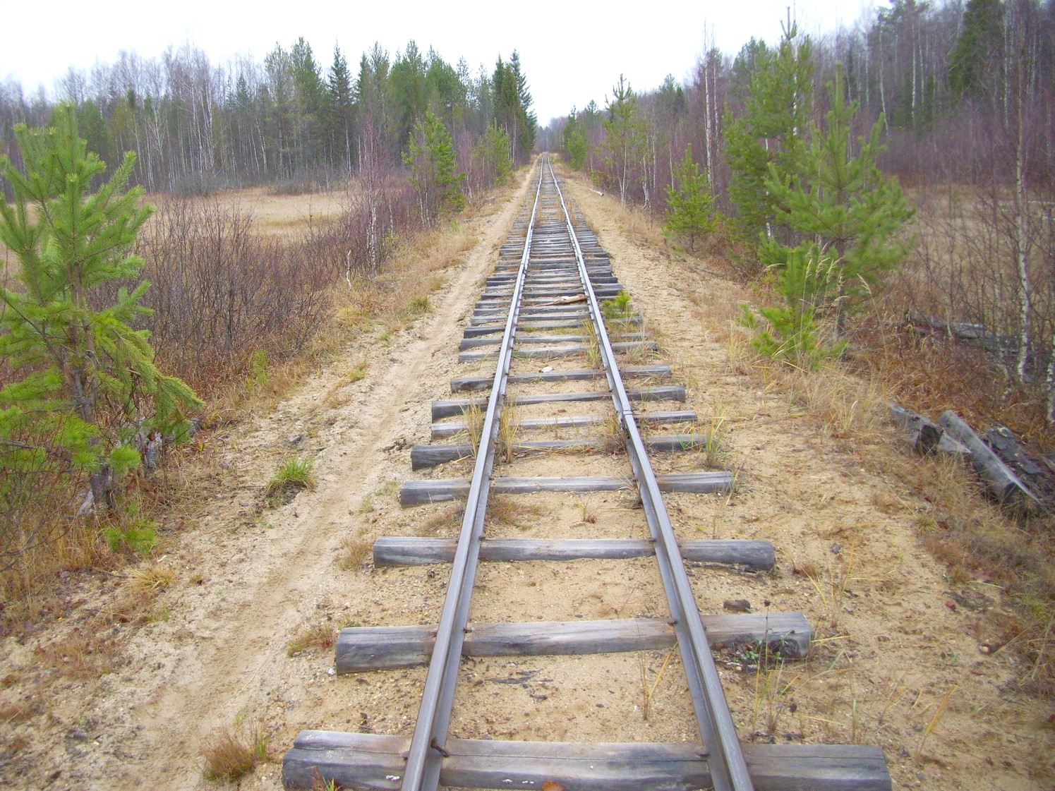 Подрезчихинская узкоколейная железная дорога — фотографии, сделанные в 2009 году (часть 4)