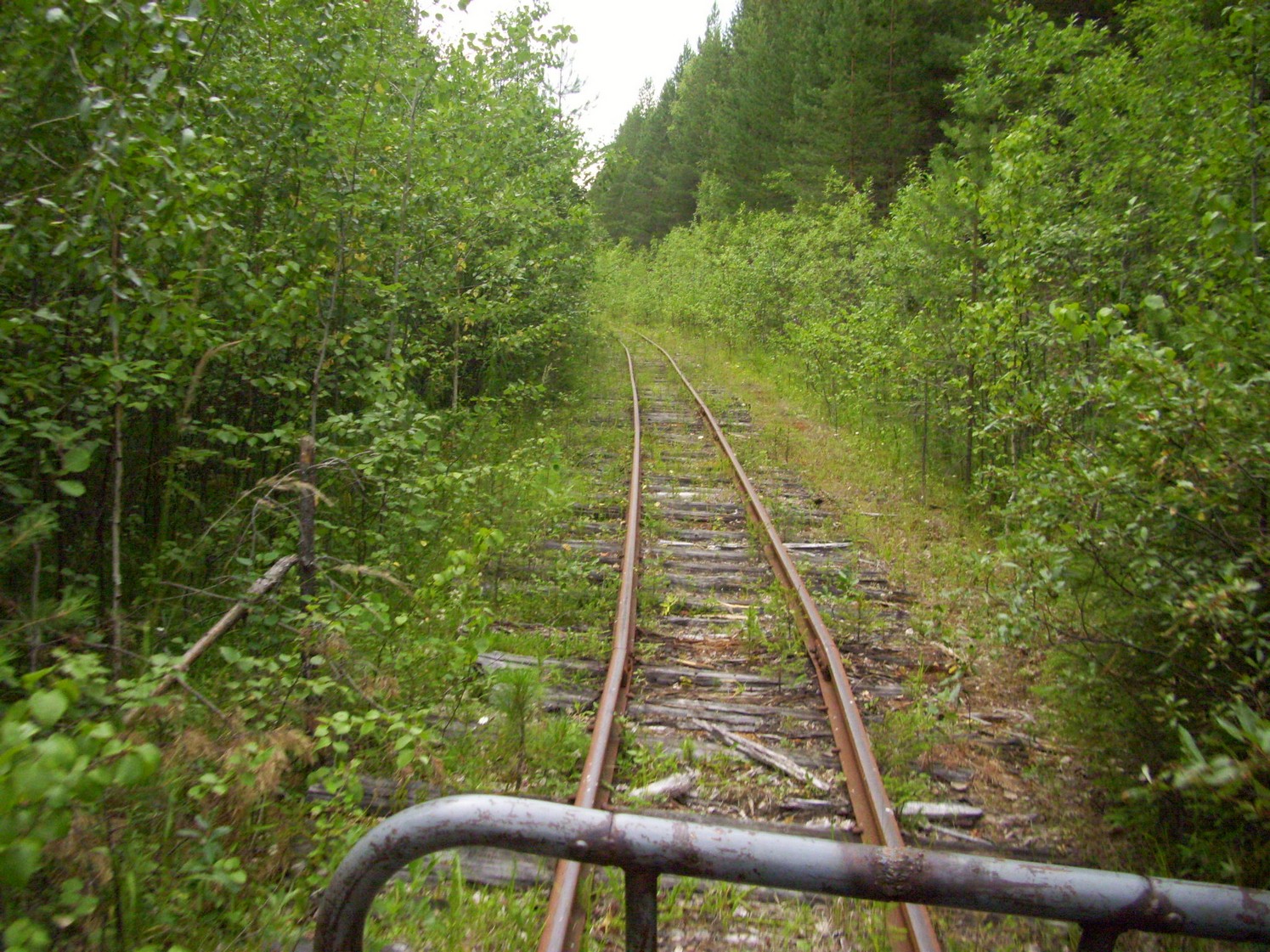 Пуксинская узкоколейная железная дорога — фотографии, сделанные в 2010 году (часть 11)