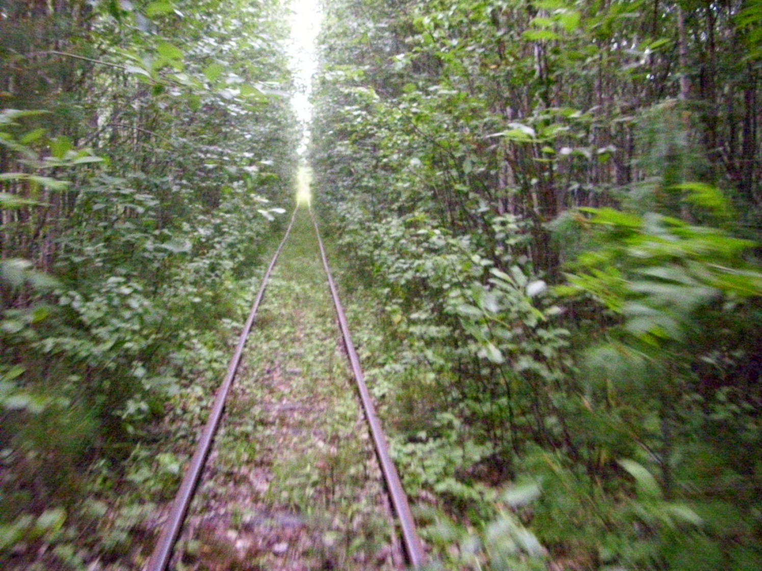 Пуксинская узкоколейная железная дорога — фотографии, сделанные в 2010 году (часть 13)