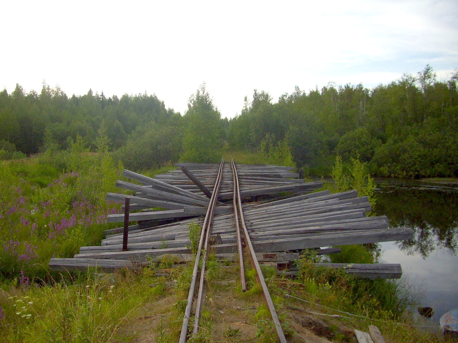 Пуксинская узкоколейная железная дорога — фотографии, сделанные в 2010 году (часть 14)