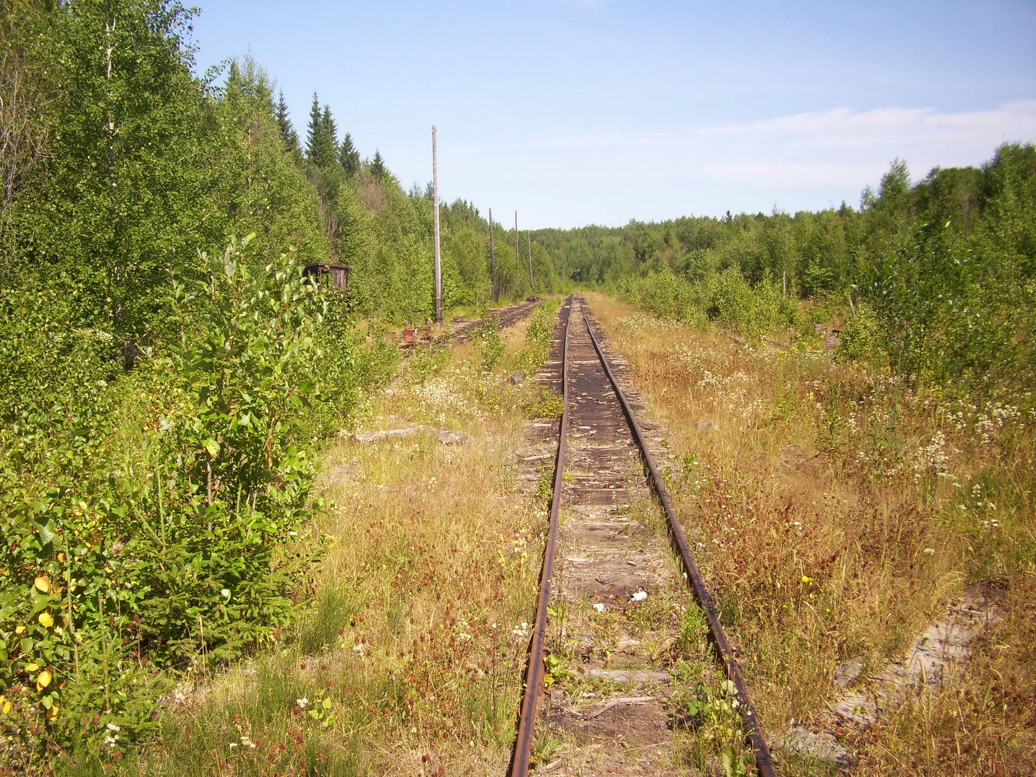 Пуксинская узкоколейная железная дорога — фотографии, сделанные в 2010 году (часть 5)