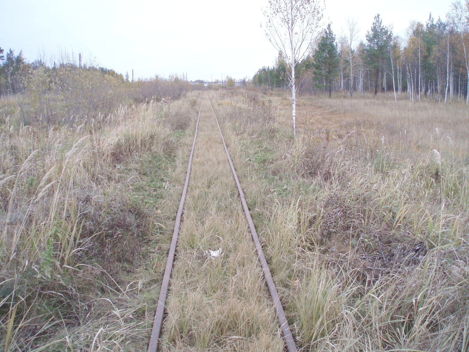 Соловьёвская узкоколейная железная дорога  —  фотографии, сделанные в 2006 году (часть 1)