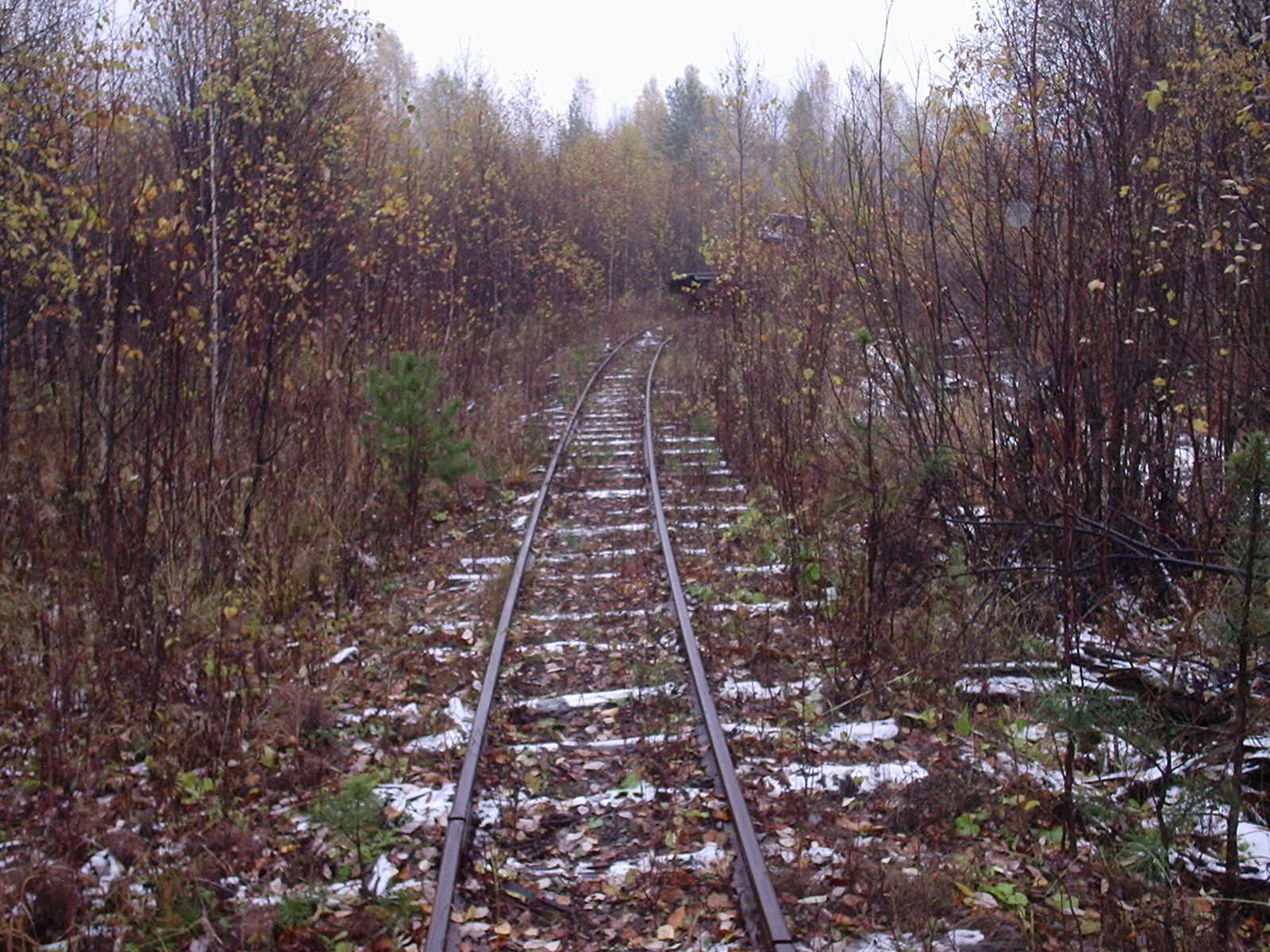 Соловьёвская узкоколейная железная дорога  —  фотографии, сделанные в 2006 году (часть 10)
