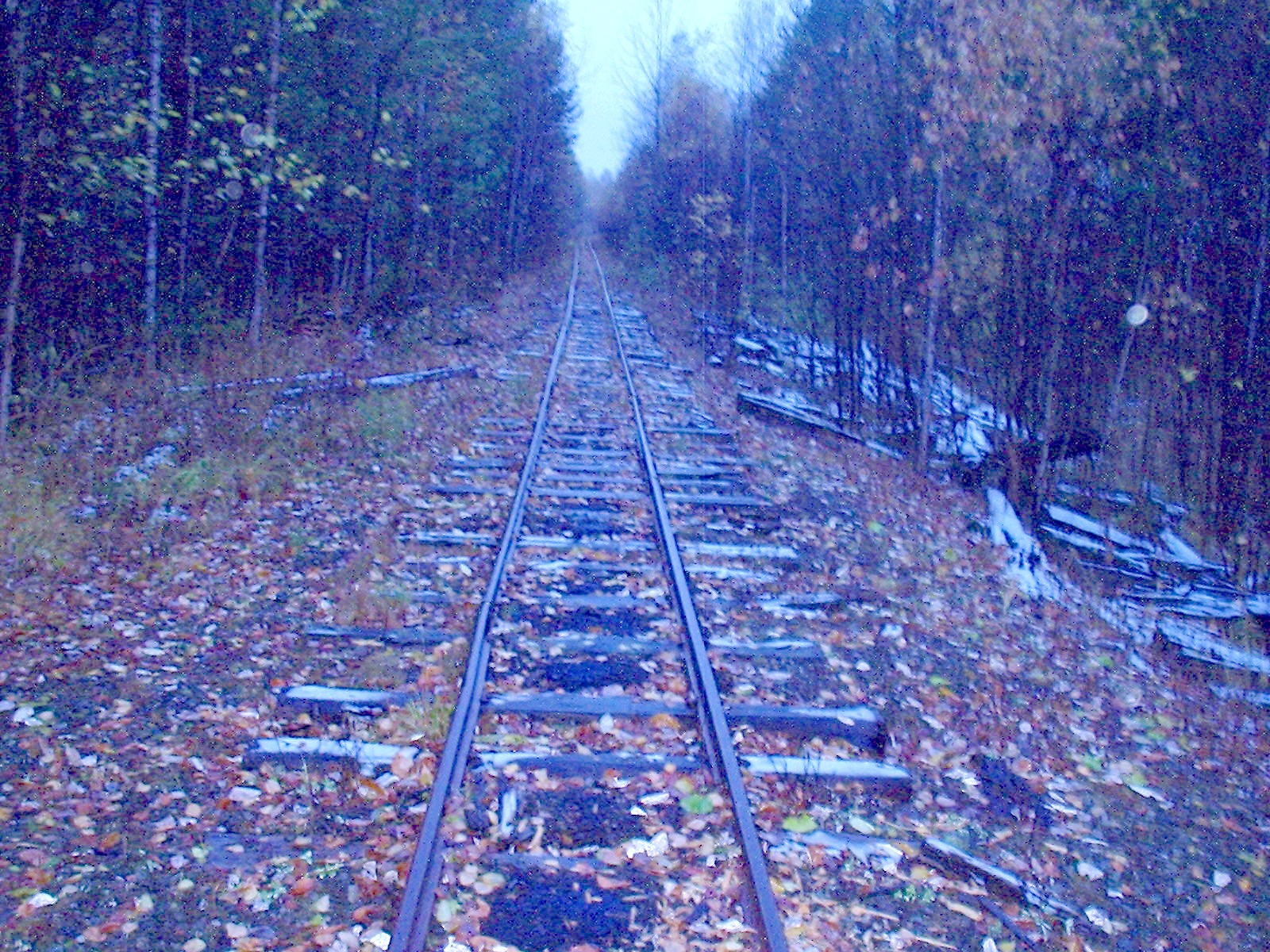 Соловьёвская узкоколейная железная дорога  —  фотографии, сделанные в 2006 году (часть 11)