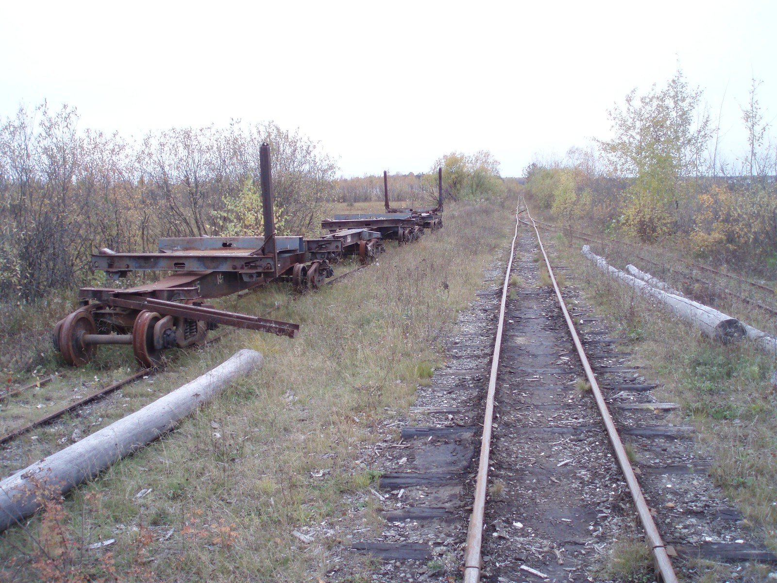 Соловьёвская узкоколейная железная дорога  —  фотографии, сделанные в 2006 году (часть 2)