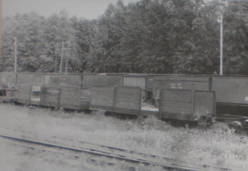 Узкоколейная железная дорога Свердловского предприятия промышленного железнодорожного транспорта
