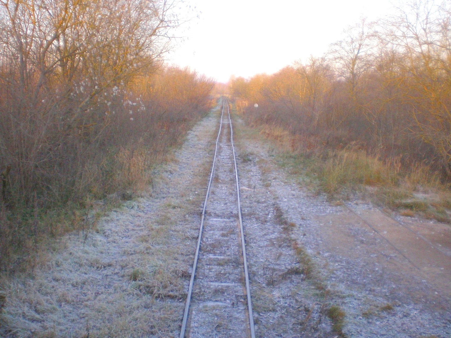 Узкоколейная железная дорога торфопредприятия «Усвиж-Бук» 
  —  фотографии, сделанные в 2008 году (часть 3)