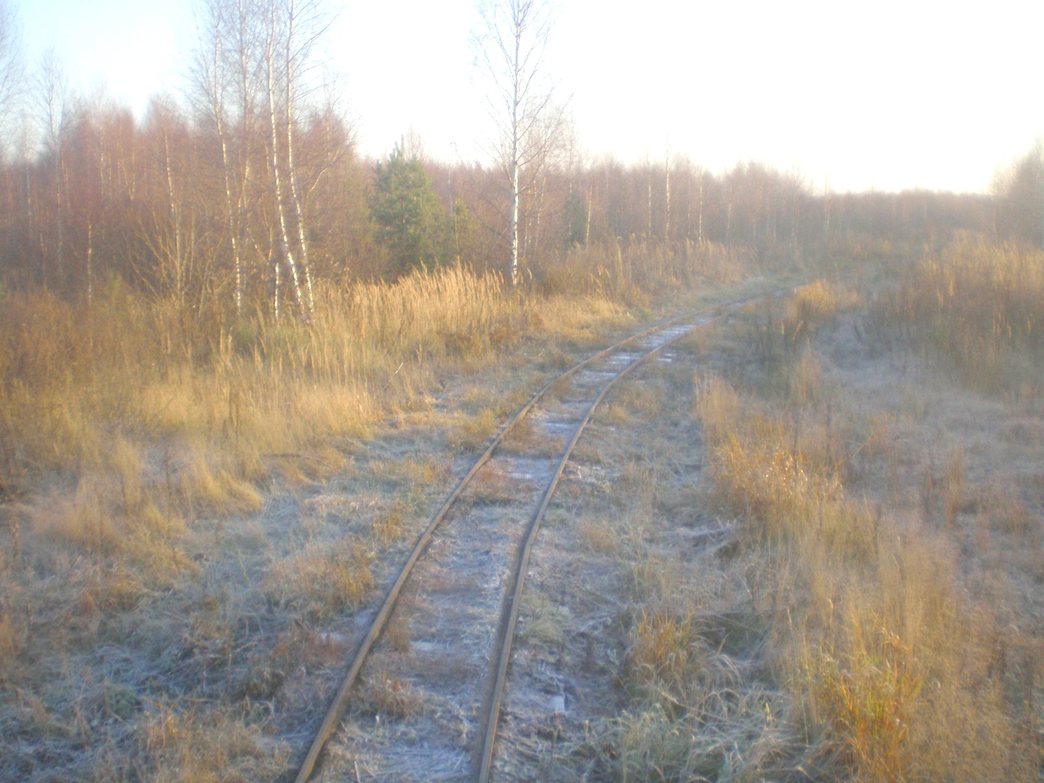 Узкоколейная железная дорога торфопредприятия «Усвиж-Бук» 
  —  фотографии, сделанные в 2008 году (часть 5)