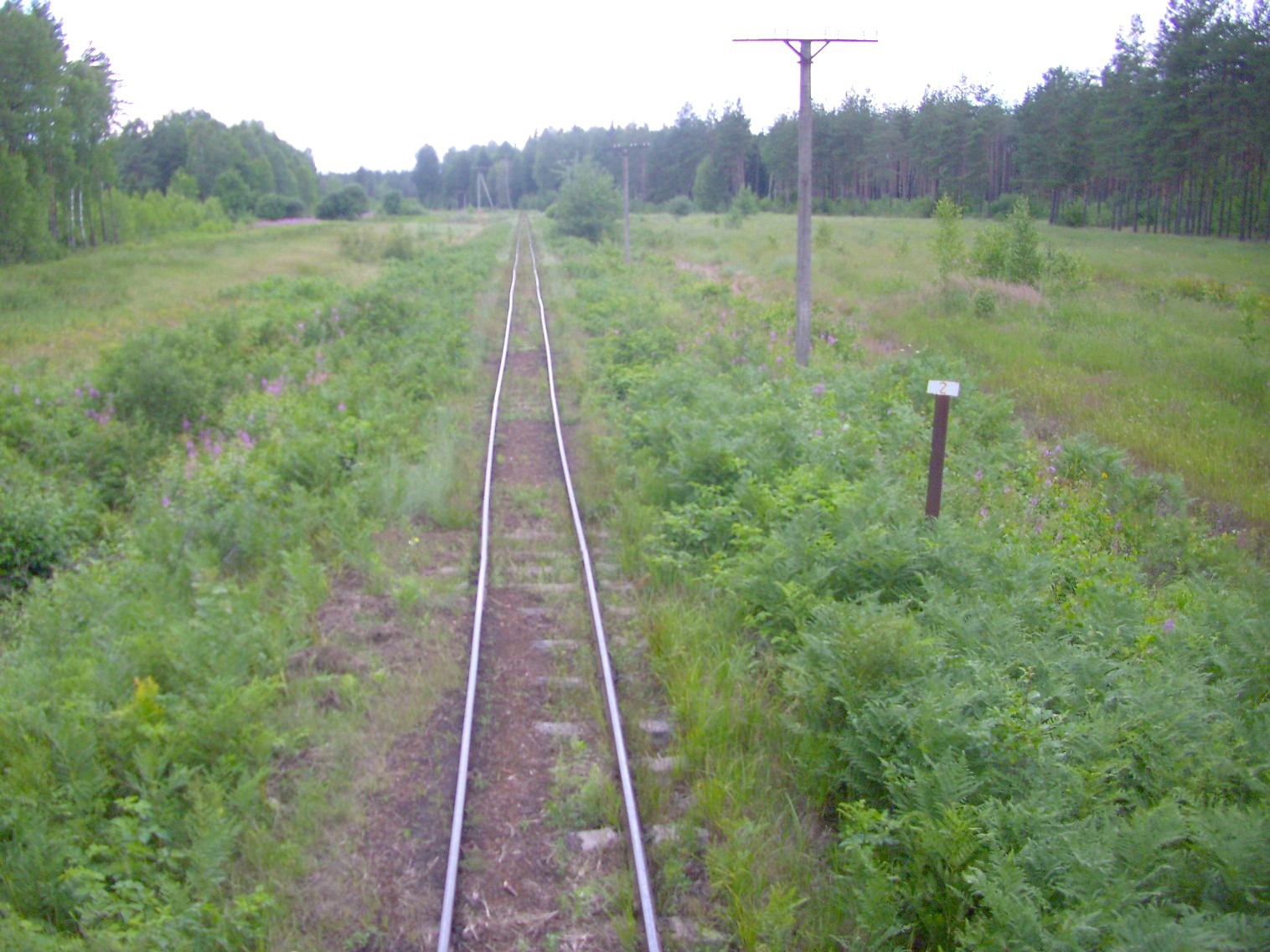 Узкоколейная железная дорога Берёзовского торфопредприятия  —  фотографии, сделанные в 2011 году (часть 6)