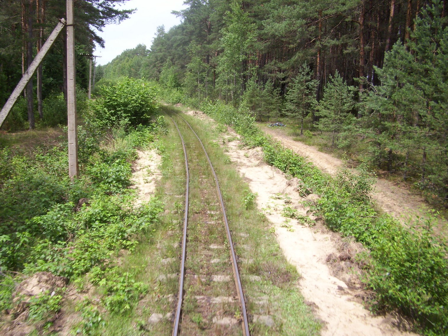 Узкоколейная железная дорога Берёзовского торфопредприятия  —  фотографии, сделанные в 2011 году (часть 7)