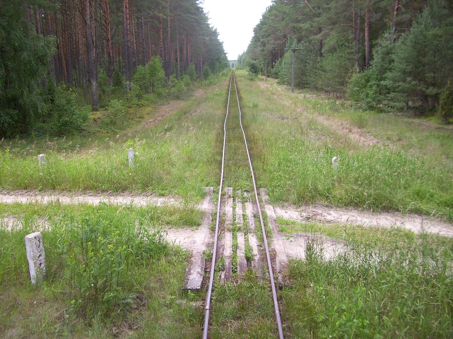 Узкоколейная железная дорога Берёзовского торфопредприятия  —  фотографии, сделанные в 2011 году (часть 8)