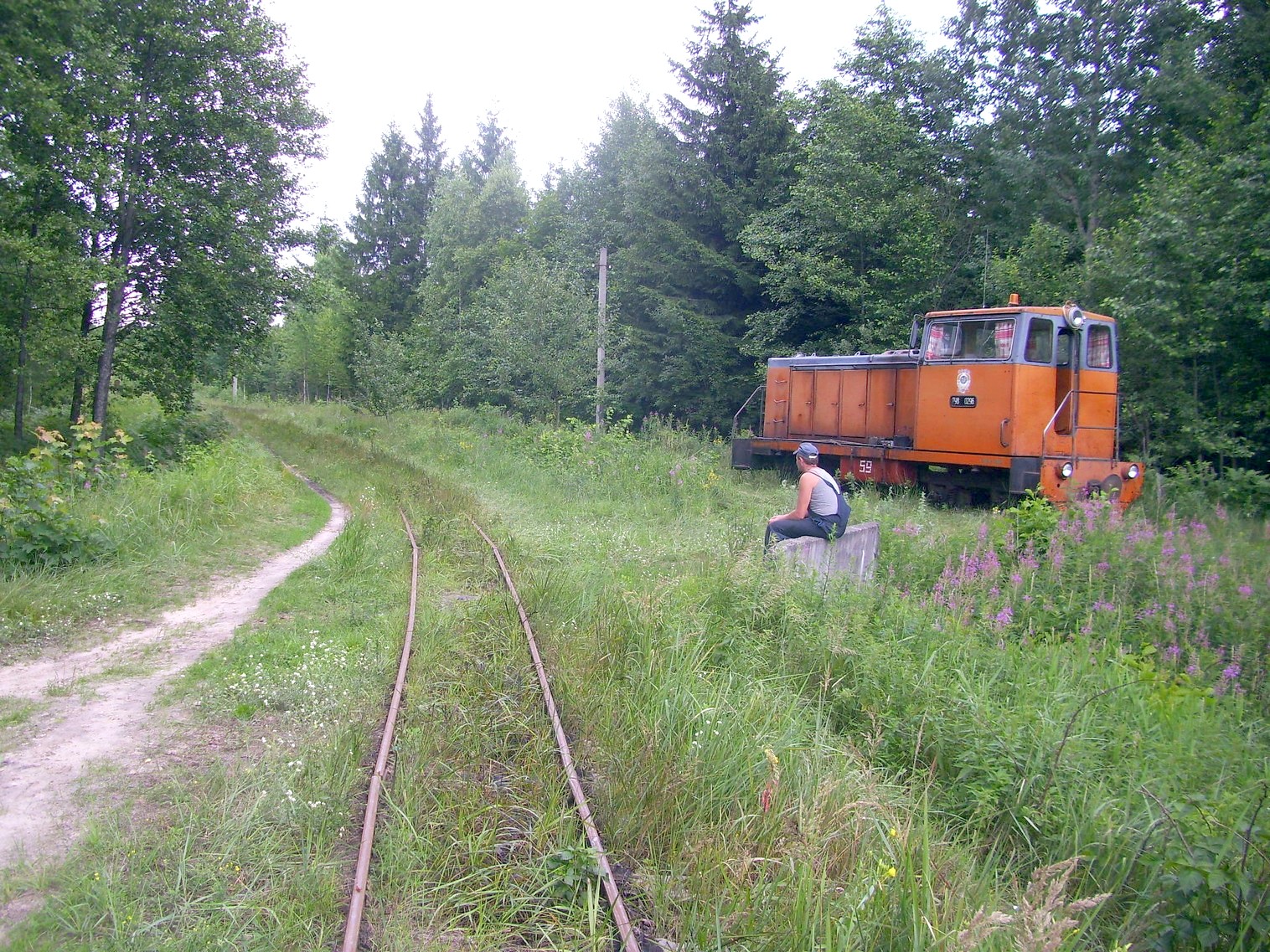 Узкоколейная железная дорога Берёзовского торфопредприятия  —  фотографии, сделанные в 2011 году (часть 10)