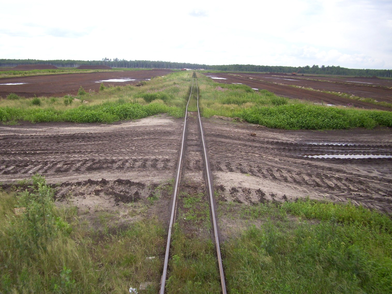 Узкоколейная железная дорога Берёзовского торфопредприятия  —  фотографии, сделанные в 2011 году (часть 11)