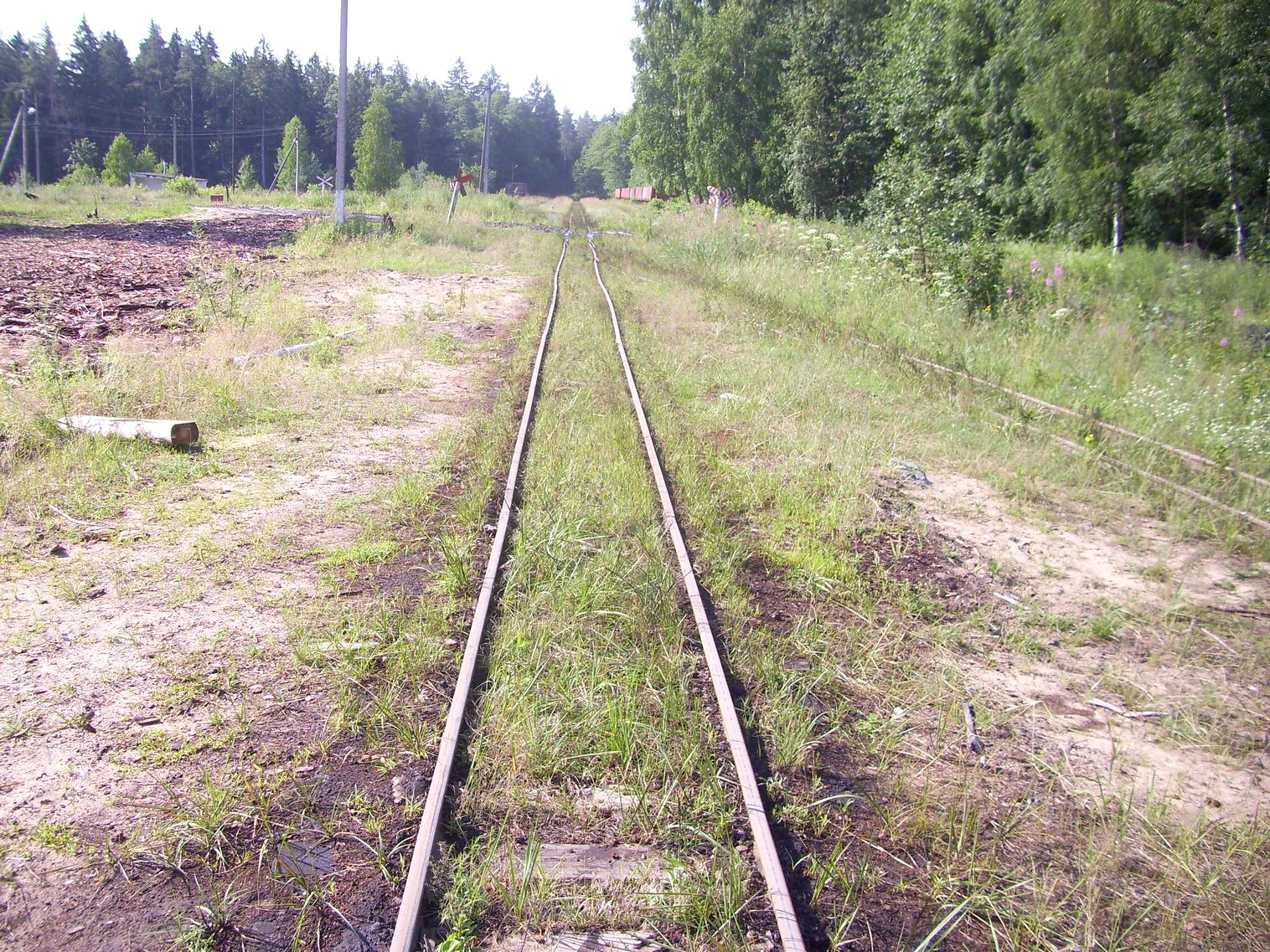 Узкоколейная железная дорога Берёзовского торфопредприятия  —  фотографии, сделанные в 2011 году (часть 3)