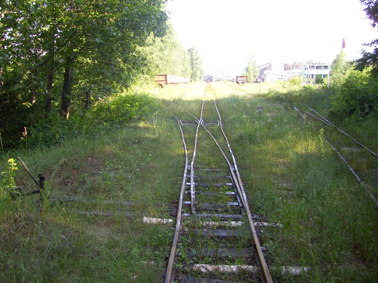 Узкоколейная железная дорога Берёзовского торфопредприятия  —  фотографии, сделанные в 2011 году (часть 4)