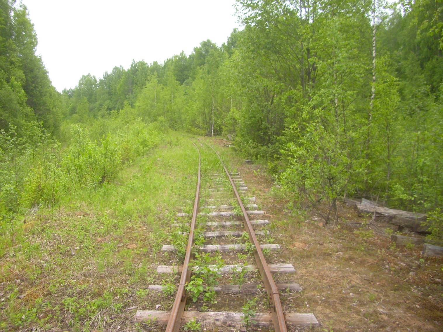 Зебляковская узкоколейная железная дорога
  —  фотографии, сделанные в 2010 году (часть 22)