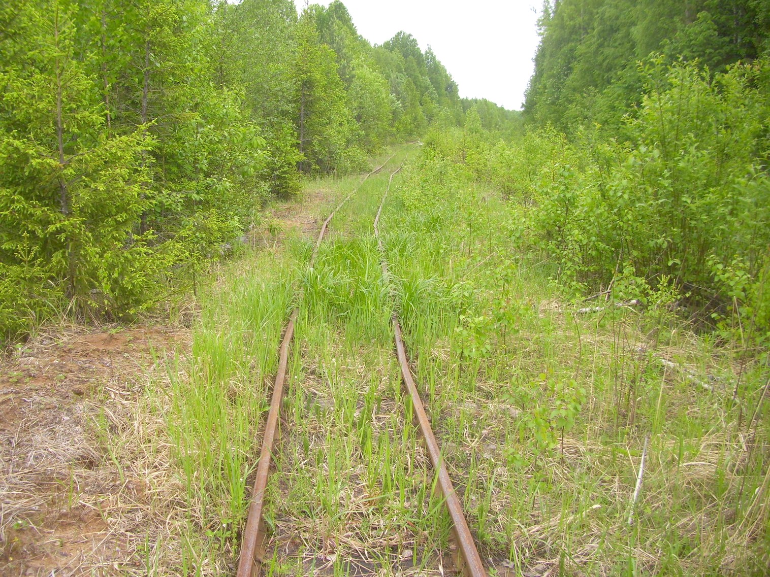 Зебляковская узкоколейная железная дорога
  —  фотографии, сделанные в 2010 году (часть 23)
