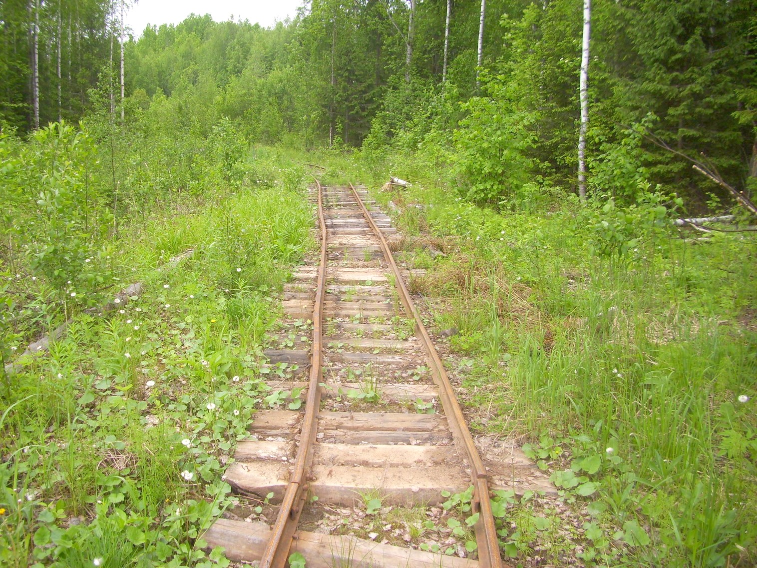 Зебляковская узкоколейная железная дорога
  —  фотографии, сделанные в 2010 году (часть 24)