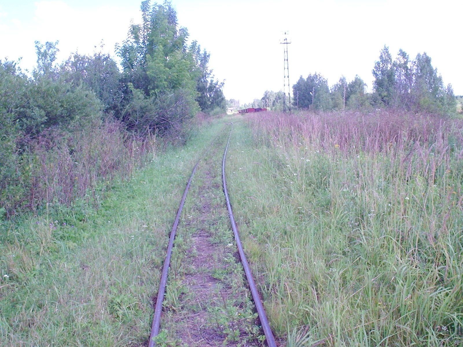 Узкоколейная железная дорога Васильевского предприятия промышленного железнодорожного транспорта  — фотографии, сделанные в 2005 году (часть 10)