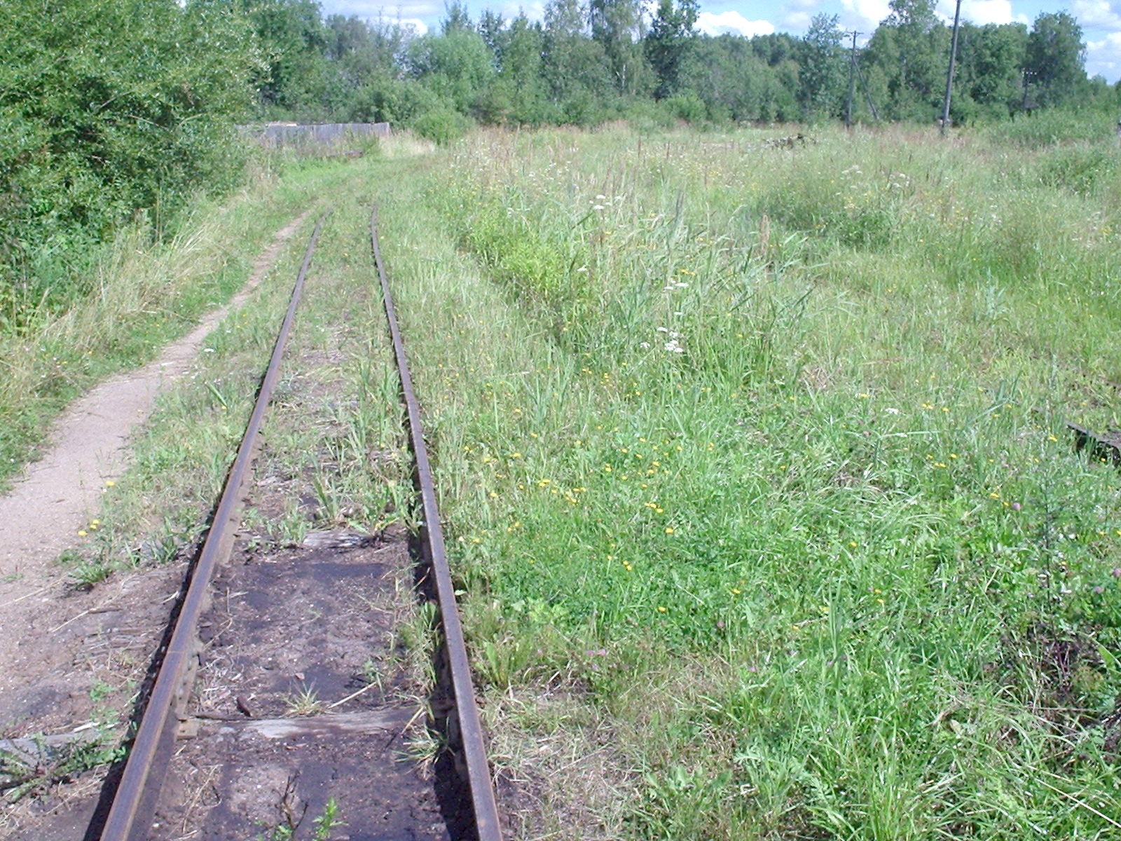 Узкоколейная железная дорога Васильевского предприятия промышленного железнодорожного транспорта  — фотографии, сделанные в 2005 году (часть 11)