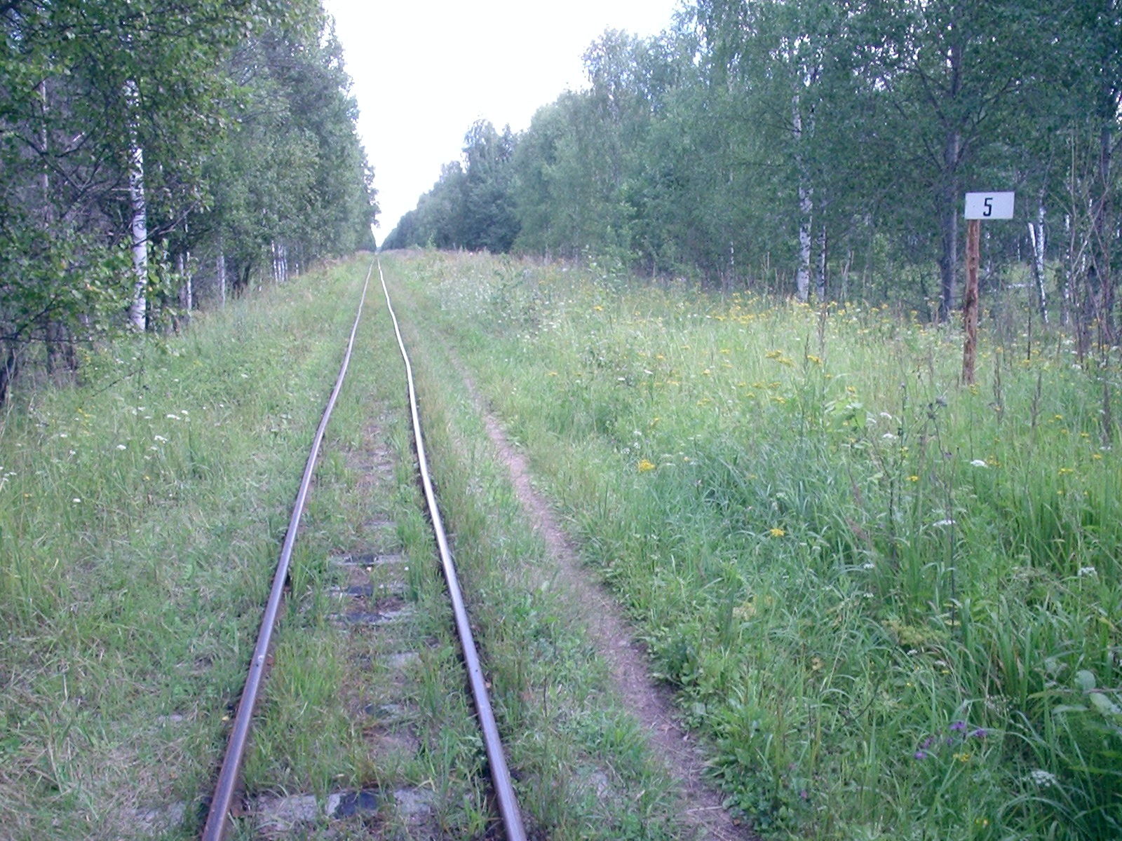 Узкоколейная железная дорога Васильевского предприятия промышленного железнодорожного транспорта  — фотографии, сделанные в 2005 году (часть 12)