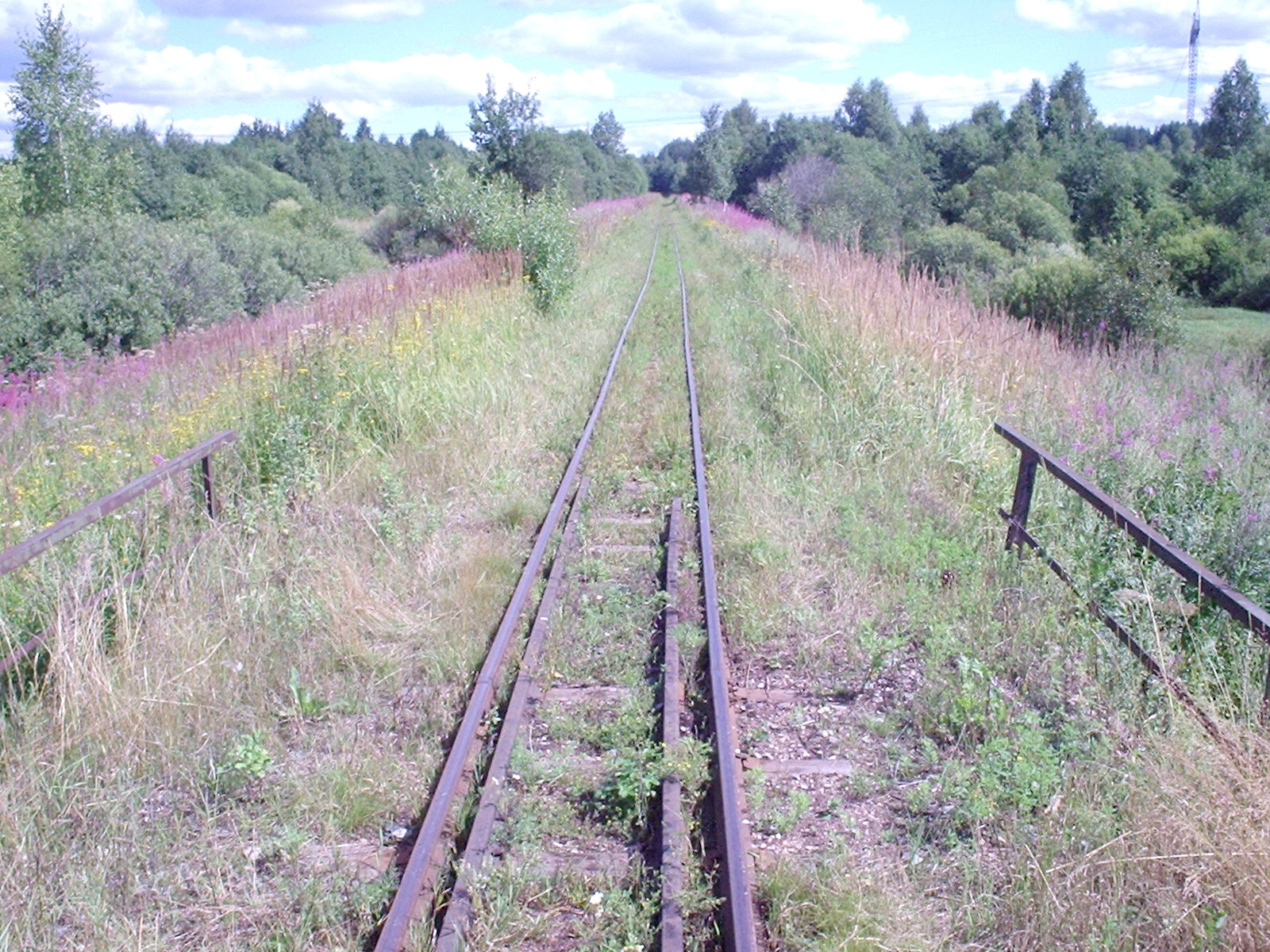 Узкоколейная железная дорога Васильевского предприятия промышленного железнодорожного транспорта  — фотографии, сделанные в 2005 году (часть 14)