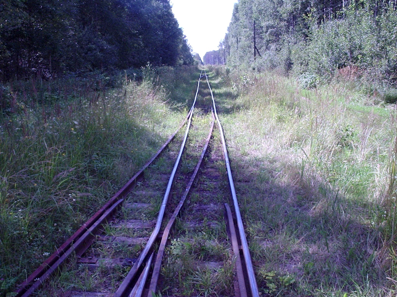 Узкоколейная железная дорога Васильевского предприятия промышленного железнодорожного транспорта  — фотографии, сделанные в 2005 году (часть 16)