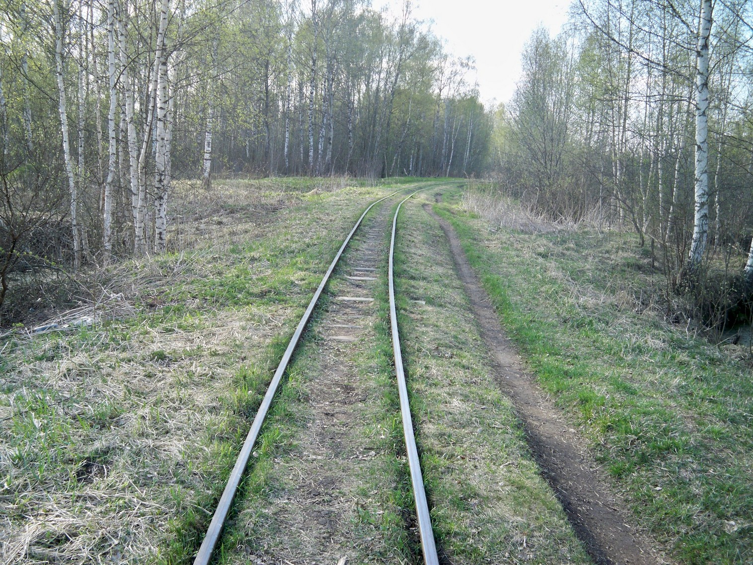 Узкоколейная железная дорога Васильевского предприятия промышленного железнодорожного транспорта  — фотографии, сделанные в 2014 году (часть 6)
