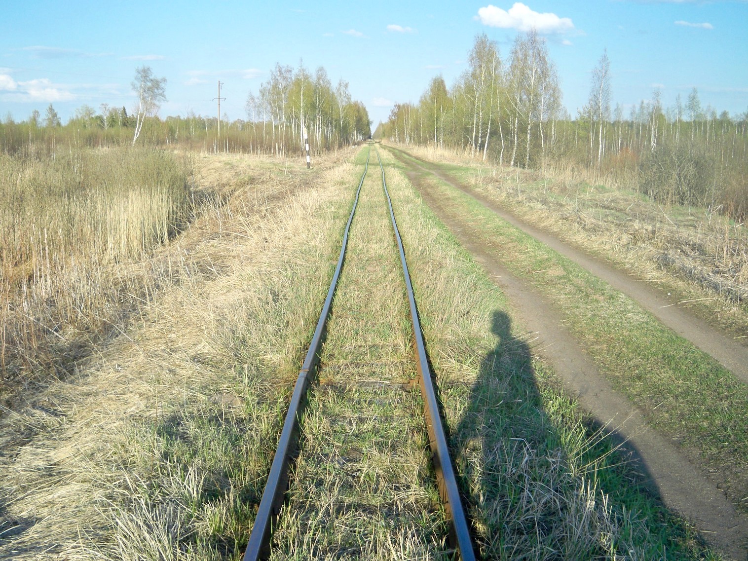 Узкоколейная железная дорога Васильевского предприятия промышленного железнодорожного транспорта  — фотографии, сделанные в 2014 году (часть 10)