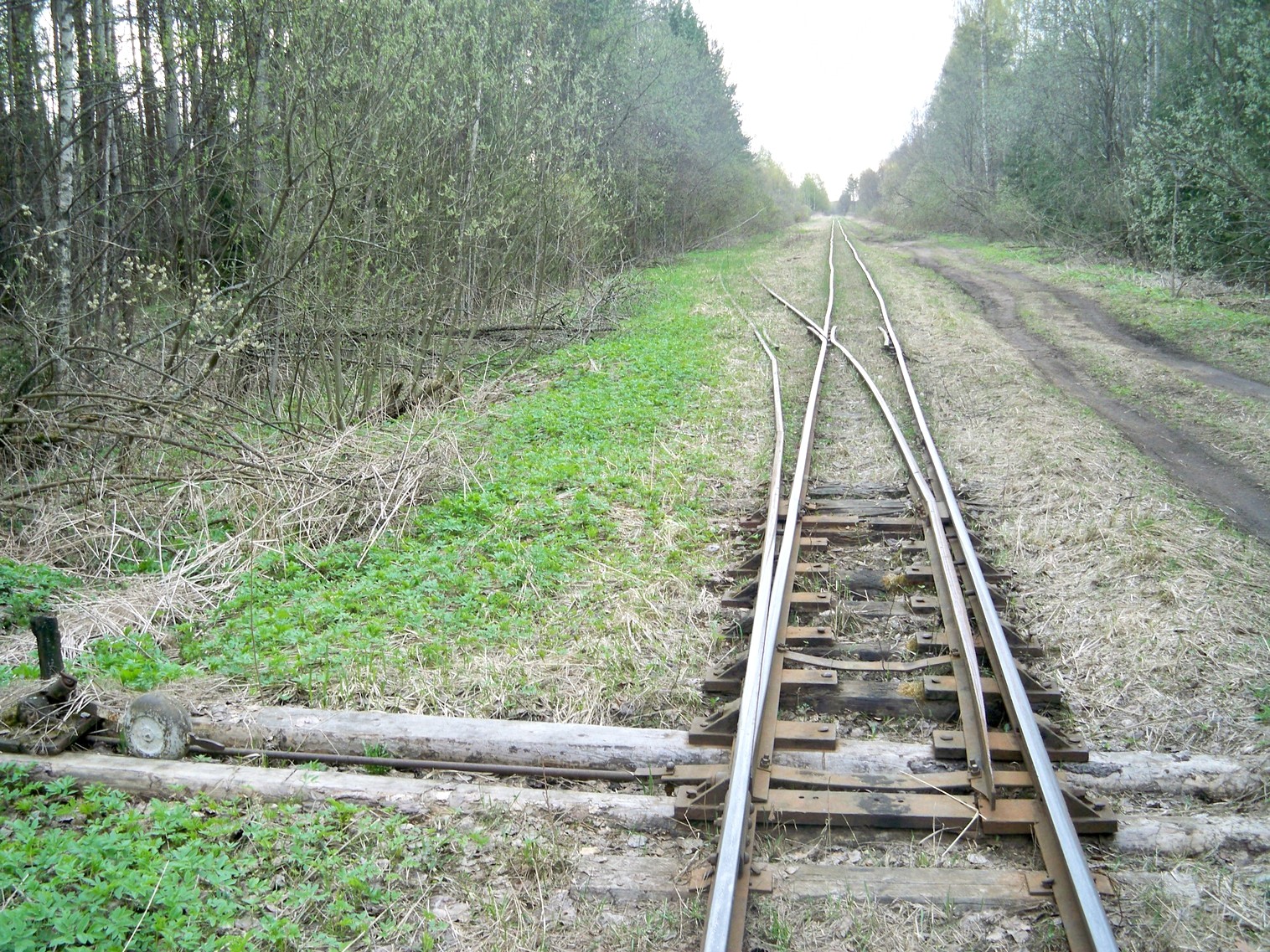 Узкоколейная железная дорога Васильевского предприятия промышленного железнодорожного транспорта  — фотографии, сделанные в 2014 году (часть 11)