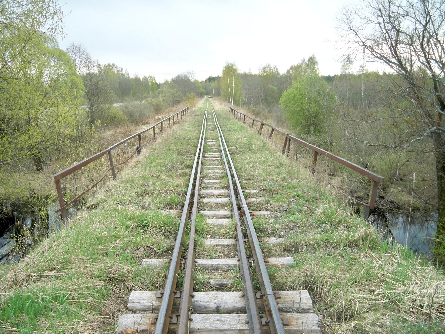 Узкоколейная железная дорога Васильевского предприятия промышленного железнодорожного транспорта  — фотографии, сделанные в 2014 году (часть 12)