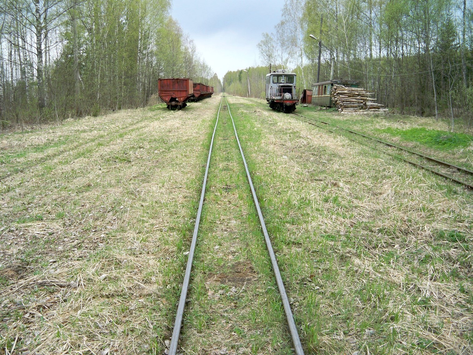 Узкоколейная железная дорога Васильевского предприятия промышленного железнодорожного транспорта  — фотографии, сделанные в 2014 году (часть 14)