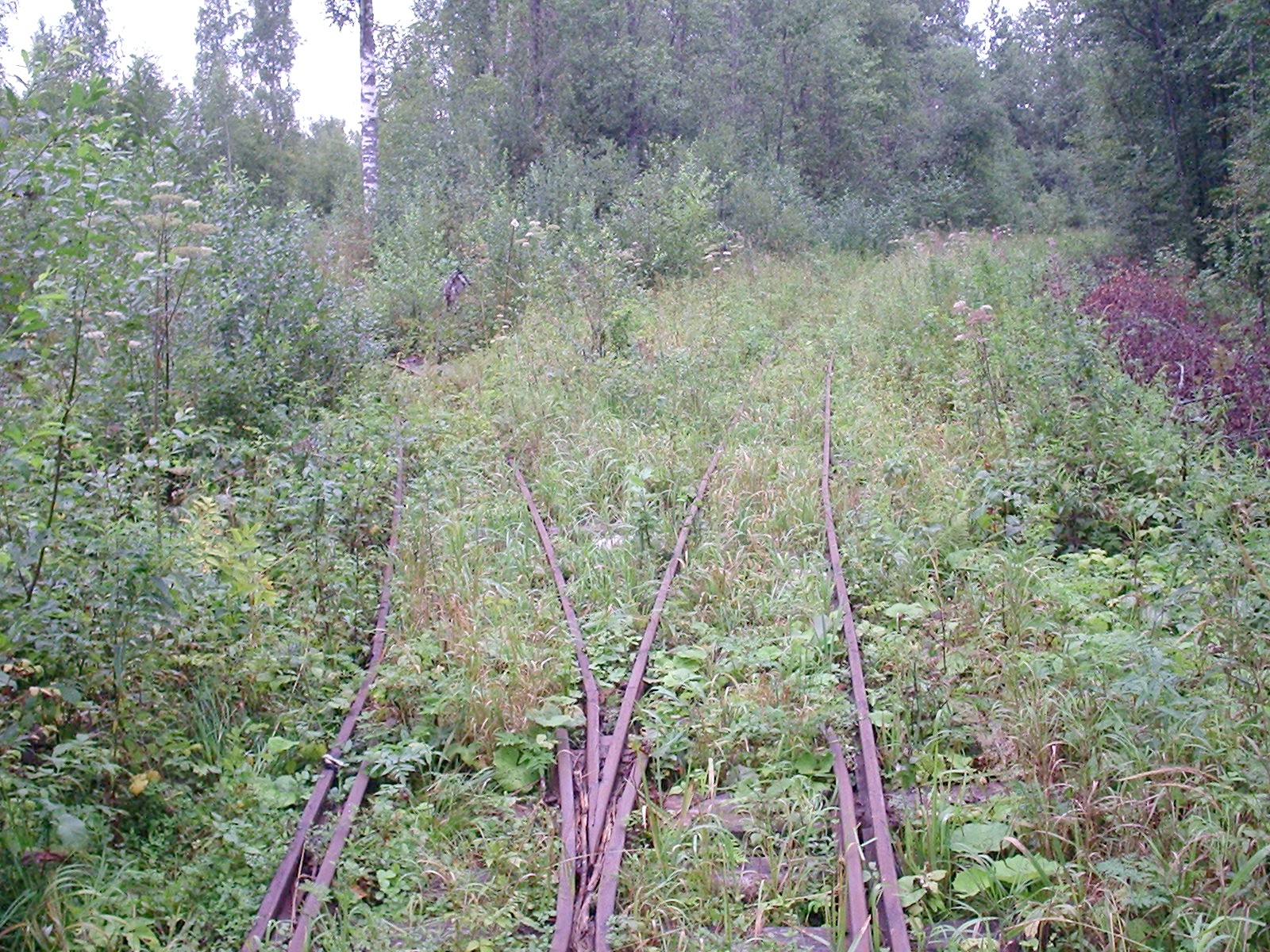 Каменская узкоколейная железная дорога — фотографии, сделанные в 2005 году (часть 2)