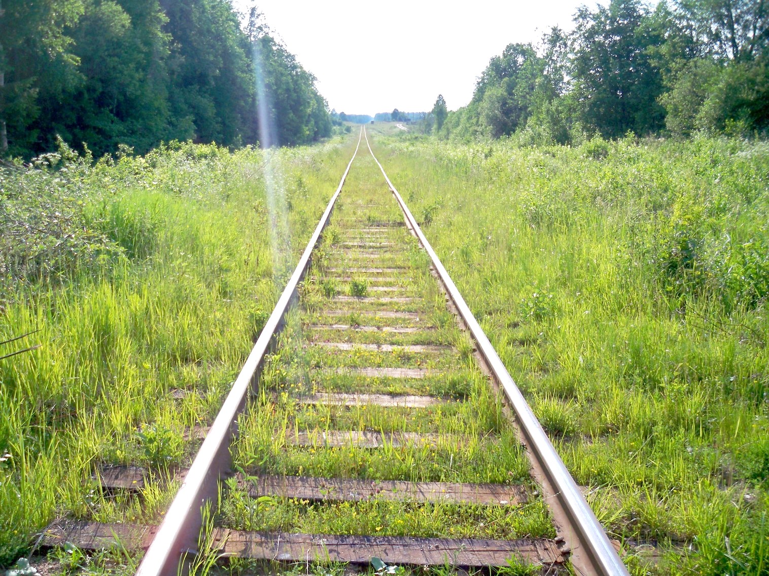 Монзенская железная дорога
  —  фотографии, сделанные в 2013 году (часть 15)