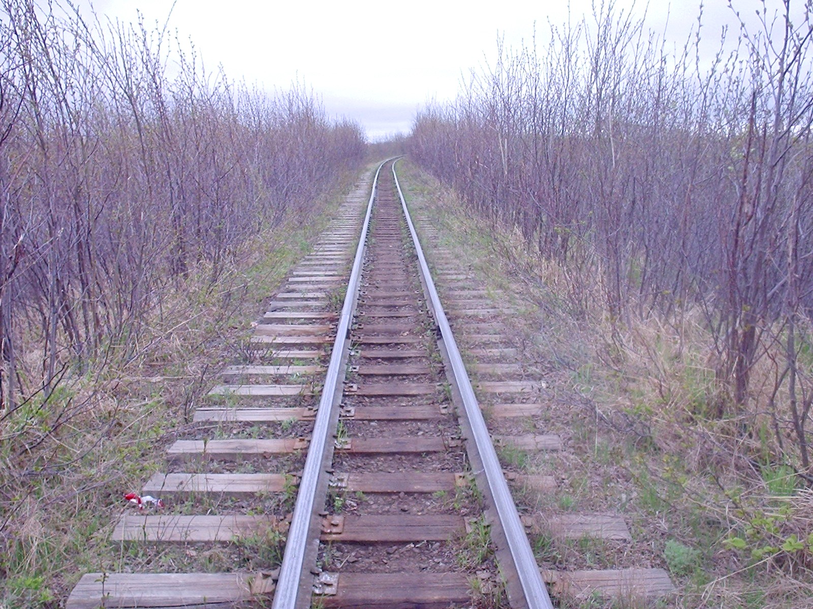 Узкоколейная железная дорога Оха — Ноглики - фотографии, сделанные в 2006 году (часть 7)