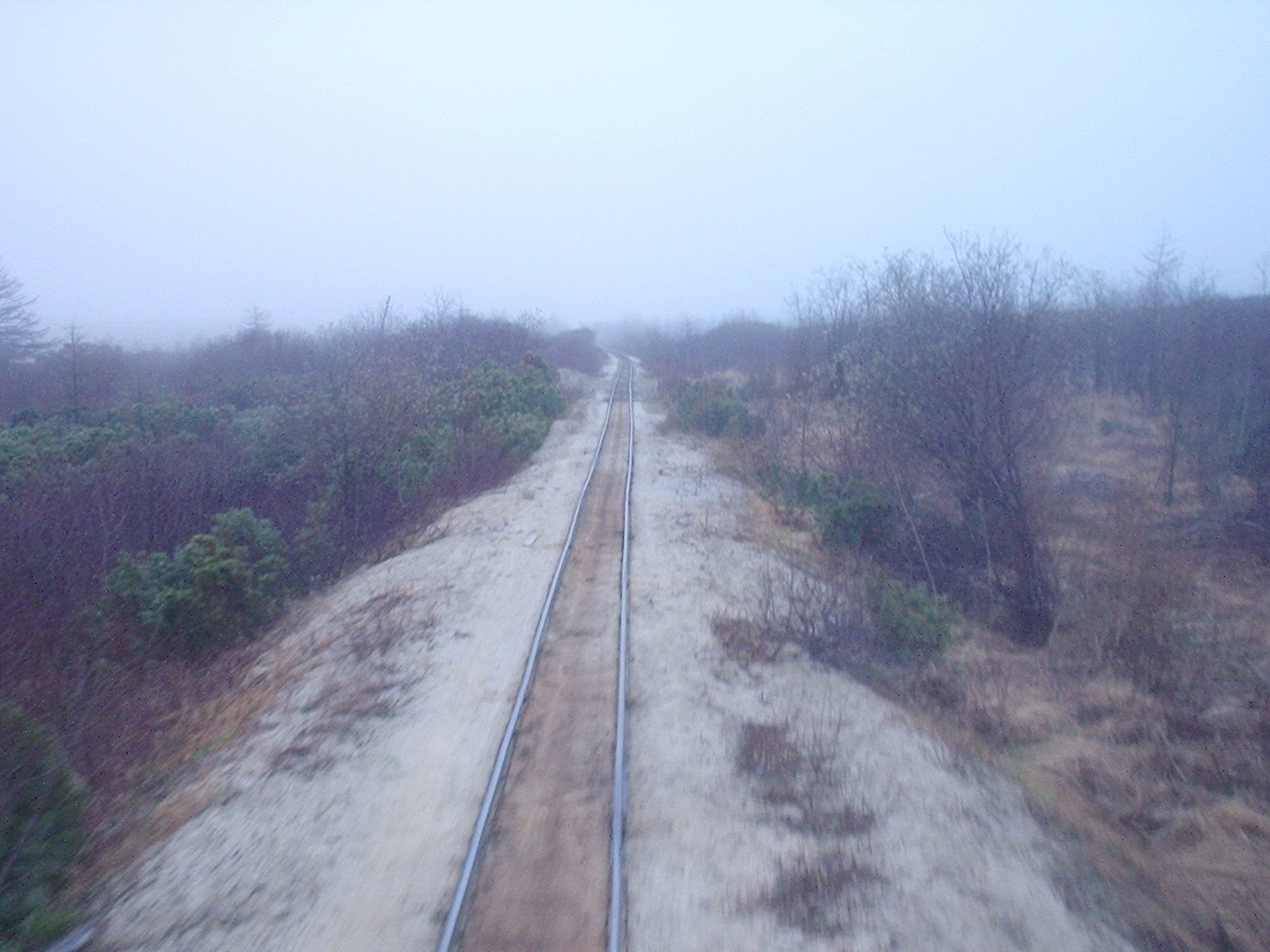 Узкоколейная железная дорога Оха — Ноглики - фотографии, сделанные в 2006 году (часть 20)