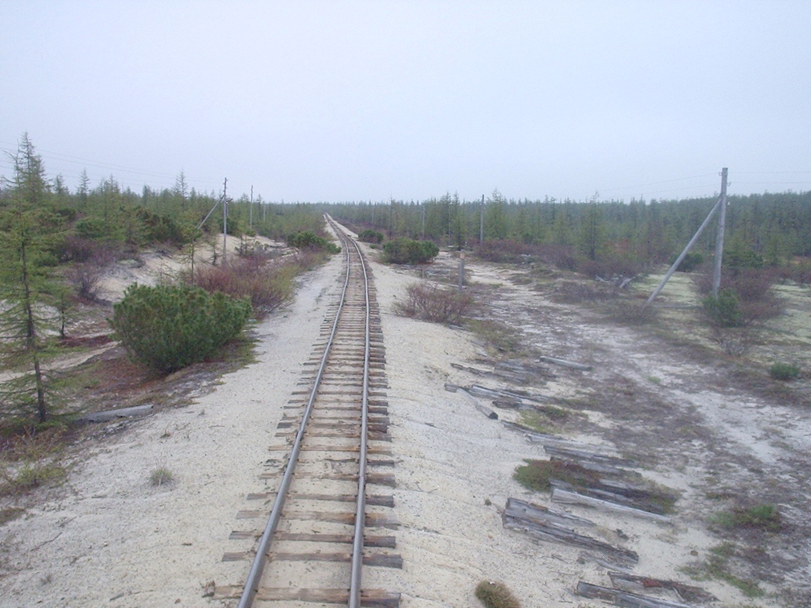 Узкоколейная железная дорога Оха — Ноглики - фотографии, сделанные в 2006 году (часть 23)