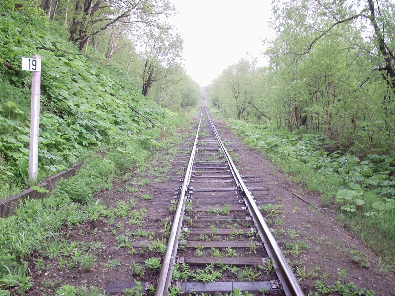 Сахалинская узкоколейная железная дорога — фотографии, сделанные в 2006 году (часть 5)