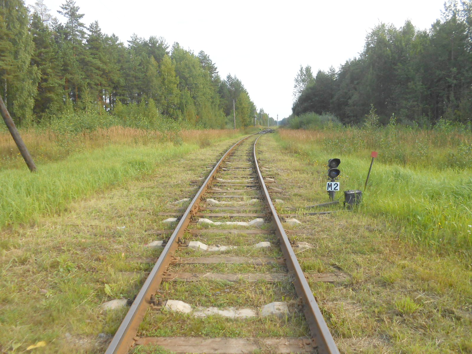 Железнодорожная линия Дорошиха — Васильевский Мох — фотографии, сделанные в 2017 году