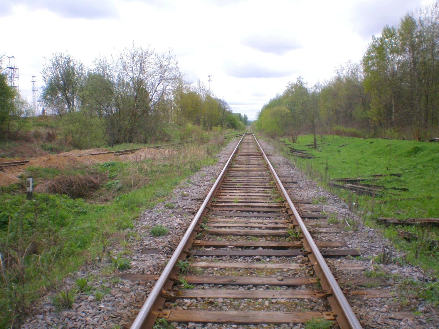 Железнодорожная линия Дорошиха — Васильевский Мох — фотографии, сделанные в 2008 году (часть 6)