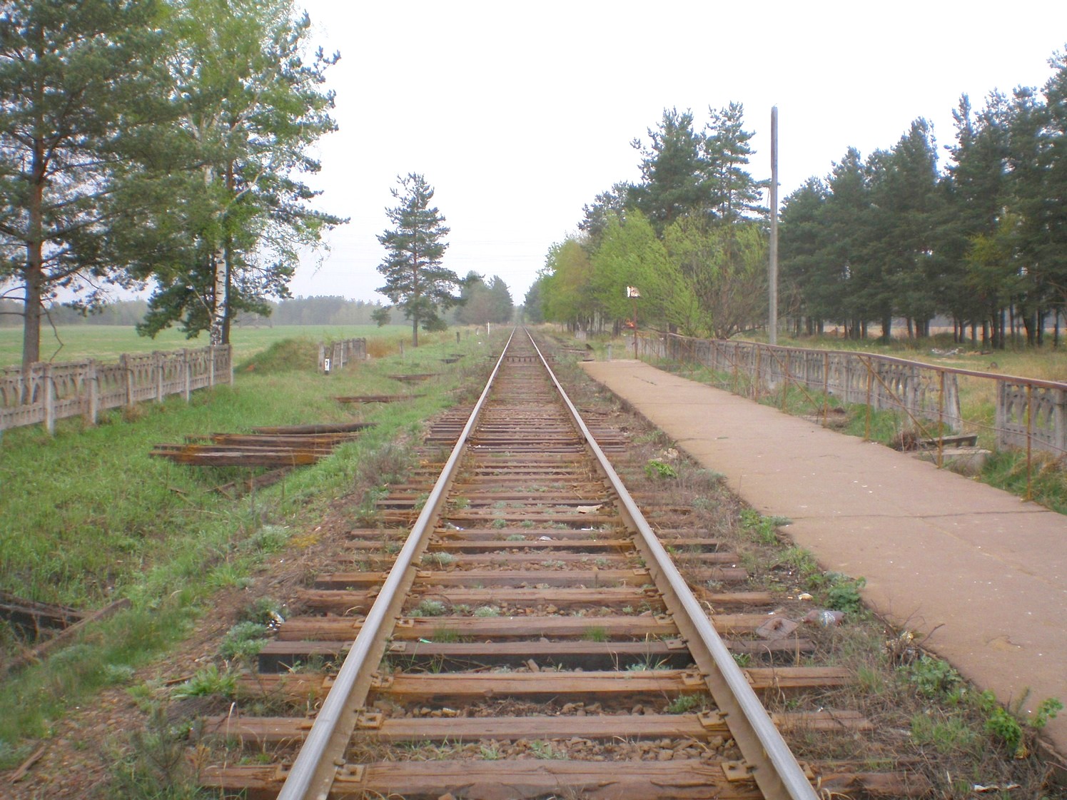 Железнодорожная линия Дорошиха — Васильевский Мох — фотографии, сделанные в 2008 году (часть 8)