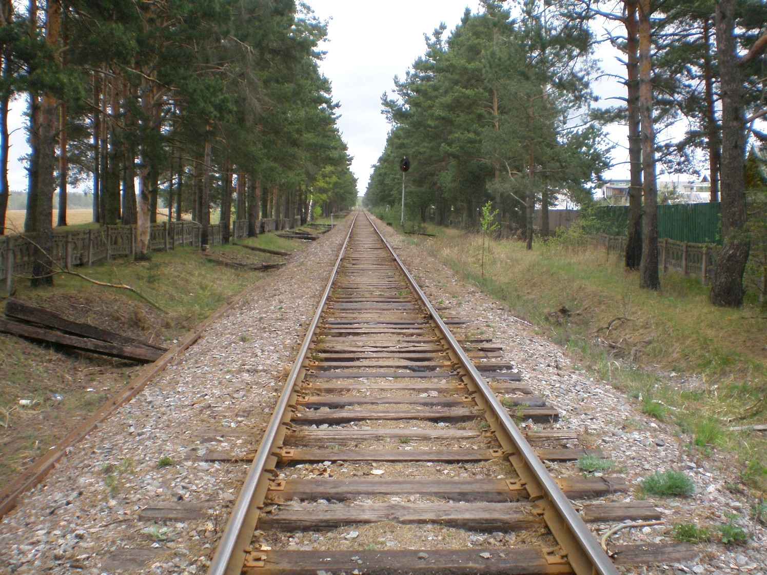 Железнодорожная линия Дорошиха — Васильевский Мох — фотографии, сделанные в 2008 году (часть 9)