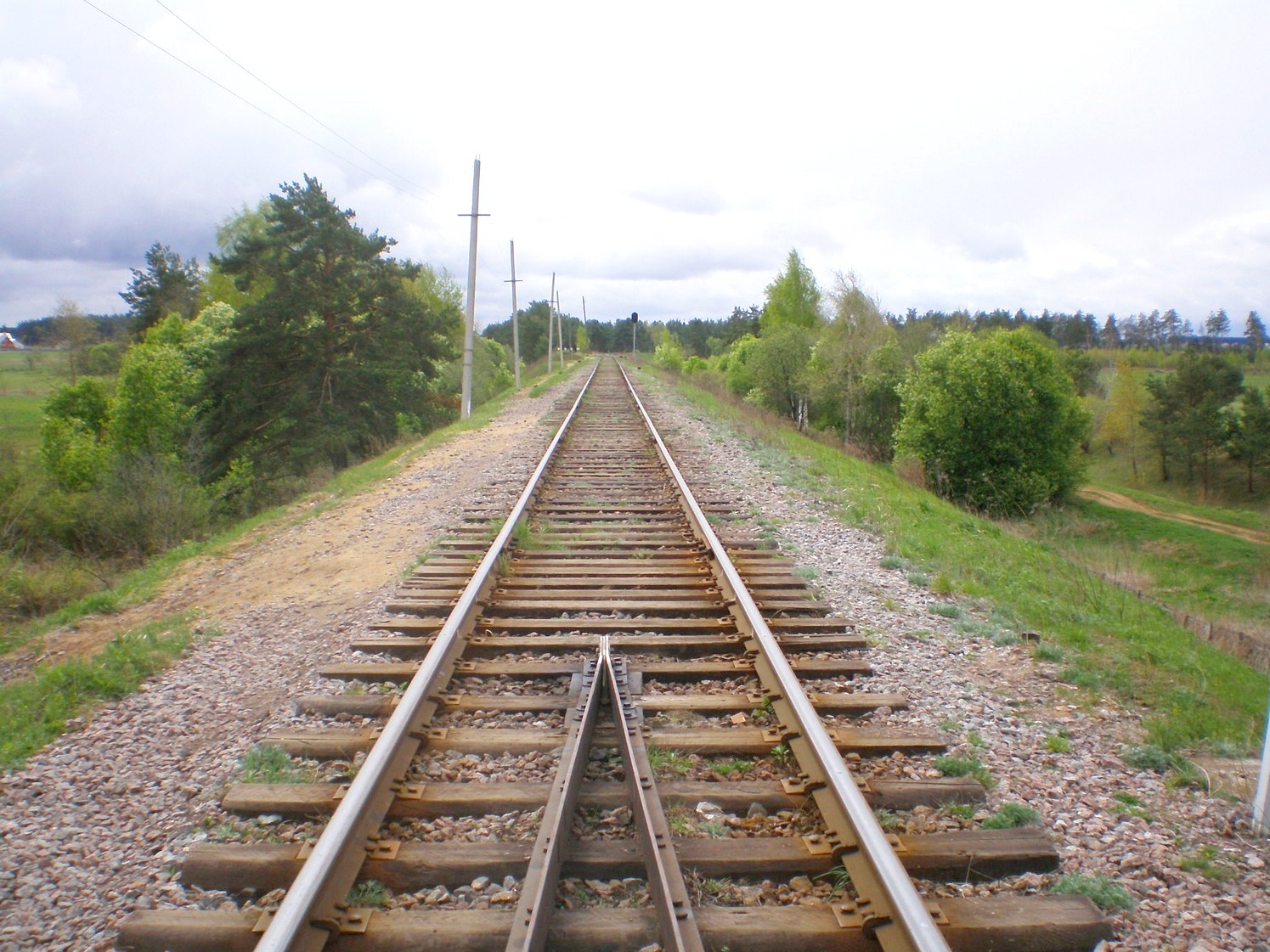 Железнодорожная линия Дорошиха — Васильевский Мох — фотографии, сделанные в 2008 году (часть 11)
