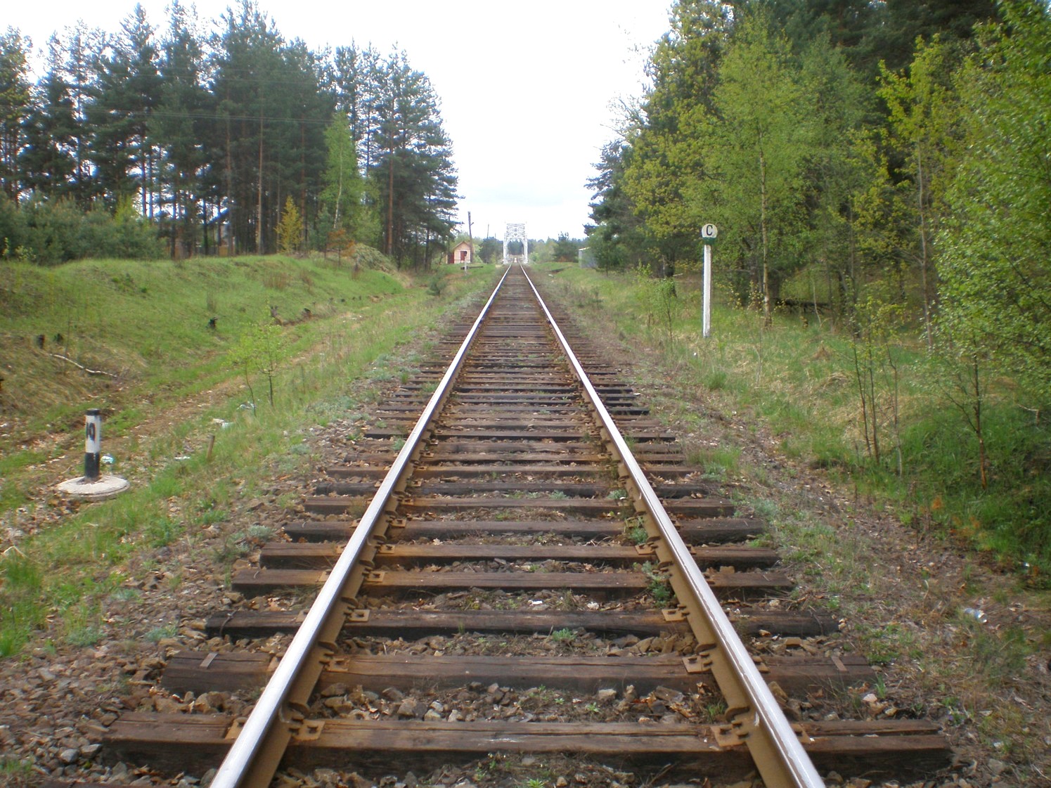 Железнодорожная линия Дорошиха — Васильевский Мох — фотографии, сделанные в 2008 году (часть 12)