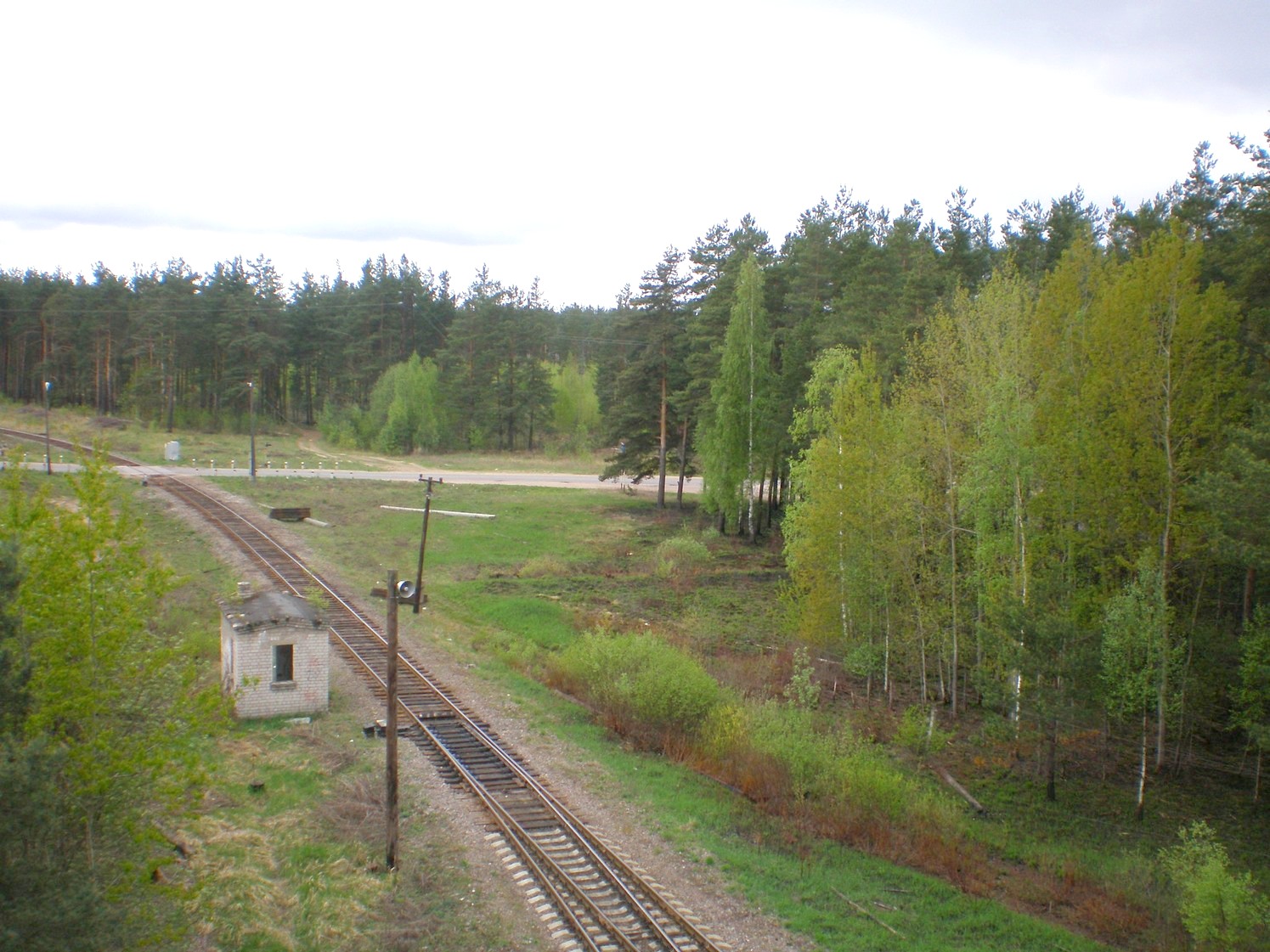 Железнодорожная линия Дорошиха — Васильевский Мох — фотографии, сделанные в 2008 году (часть 13)