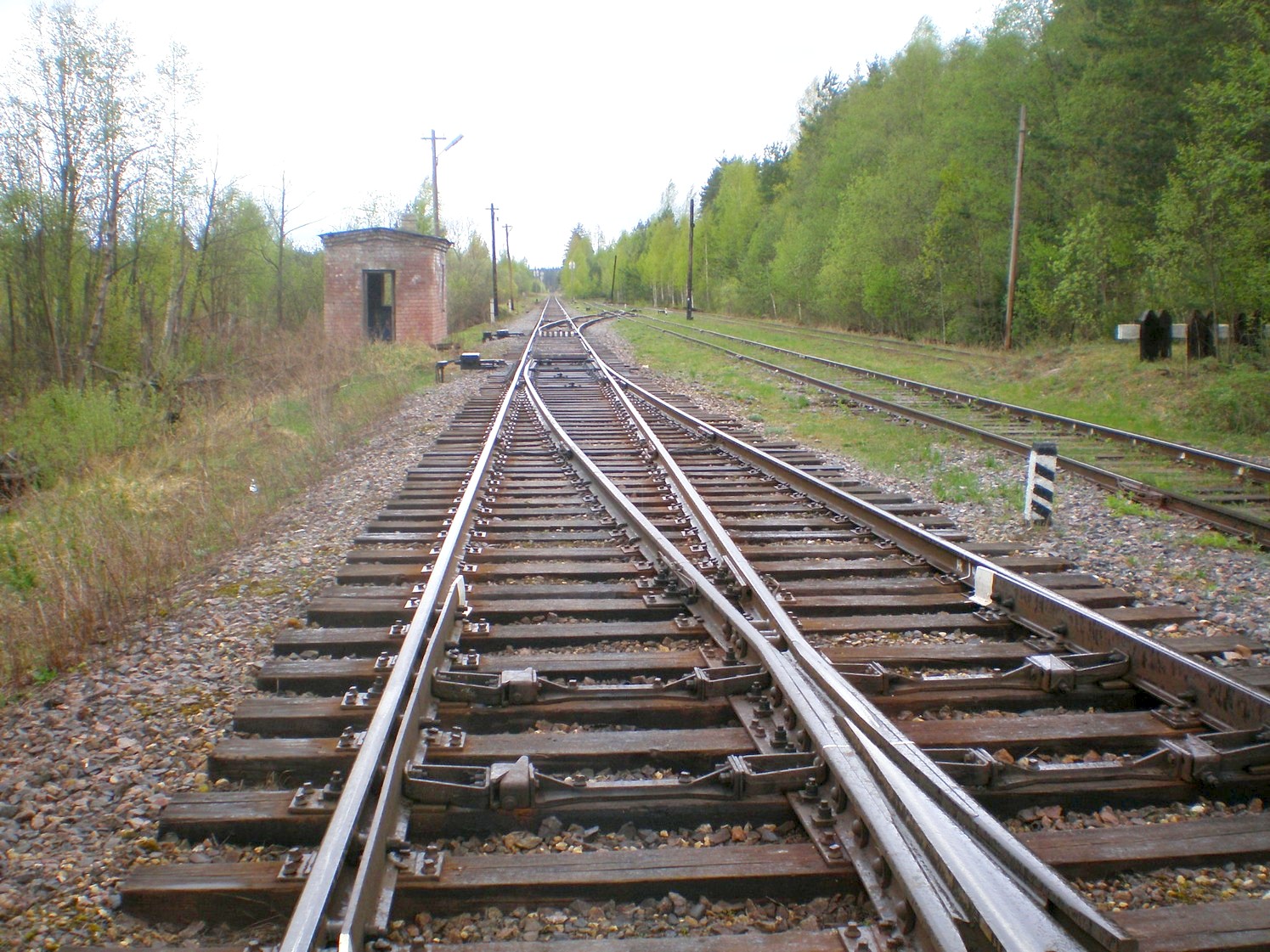 Железнодорожная линия Дорошиха — Васильевский Мох — фотографии, сделанные в 2008 году (часть 14)