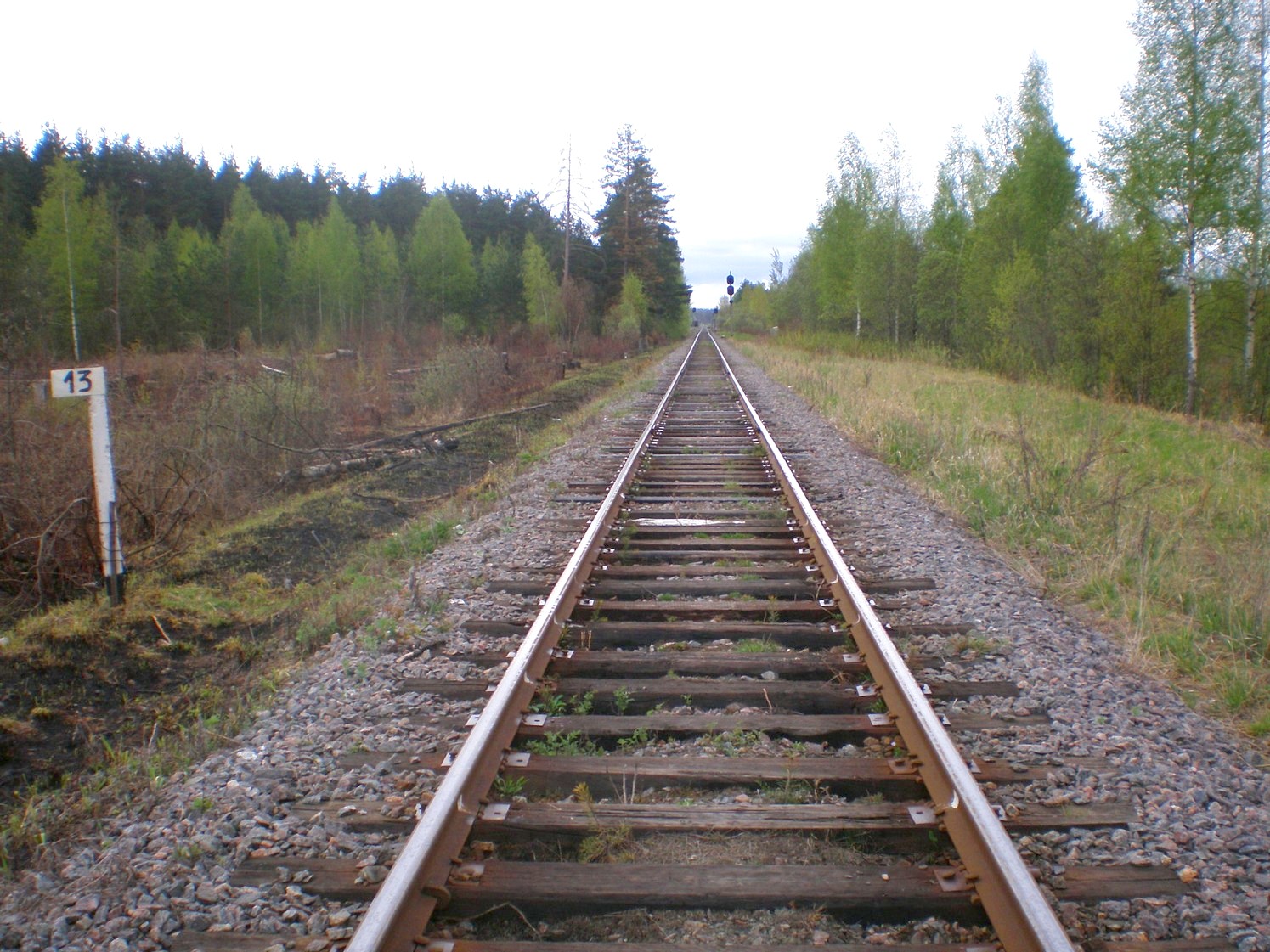 Железнодорожная линия Дорошиха — Васильевский Мох — фотографии, сделанные в 2008 году (часть 15)