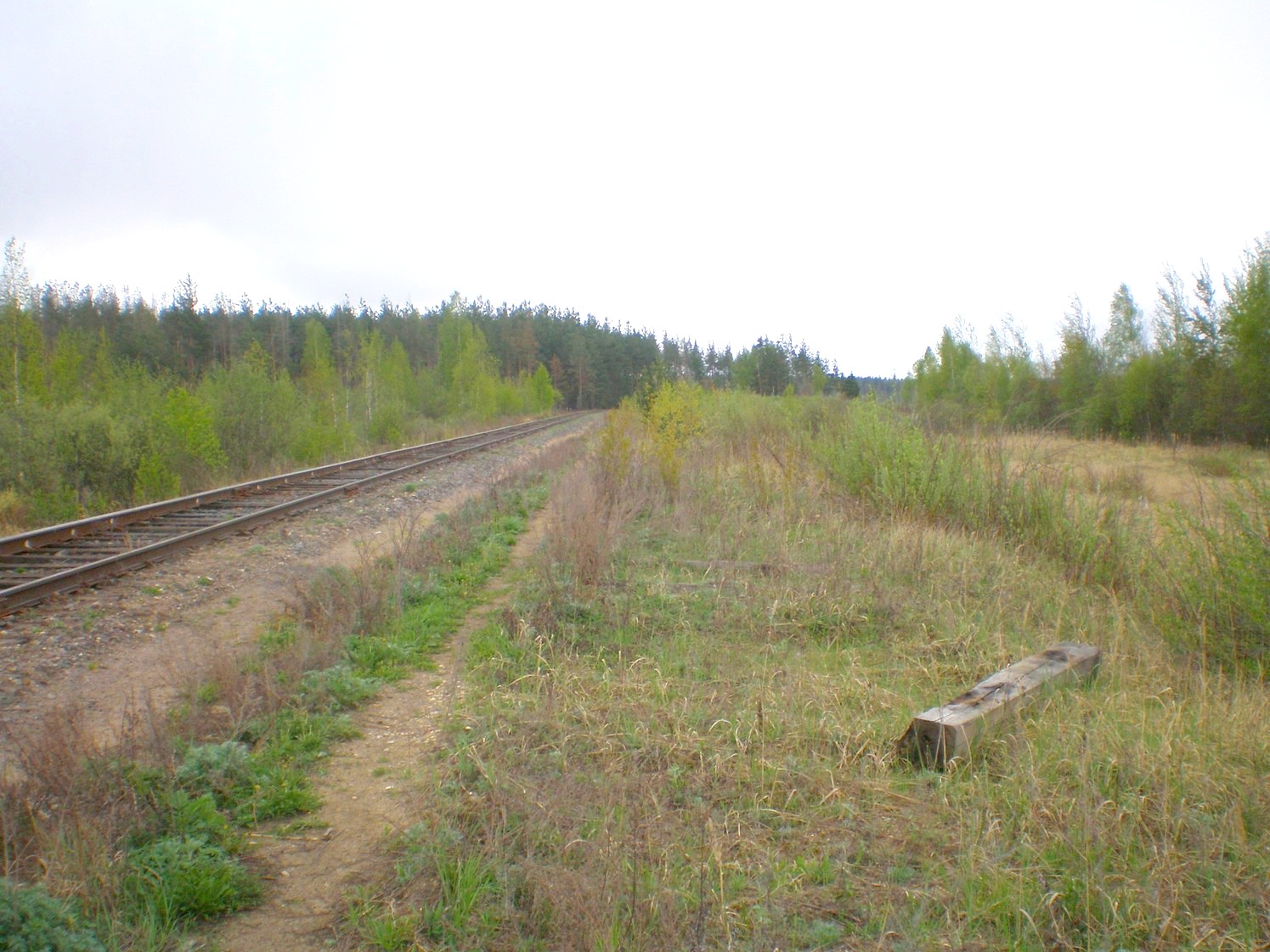 Железнодорожная линия Дорошиха — Васильевский Мох — фотографии, сделанные в 2008 году (часть 16)