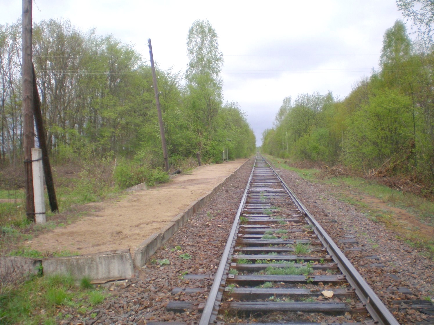 Железнодорожная линия Дорошиха — Васильевский Мох — фотографии, сделанные в 2008 году (часть 17)