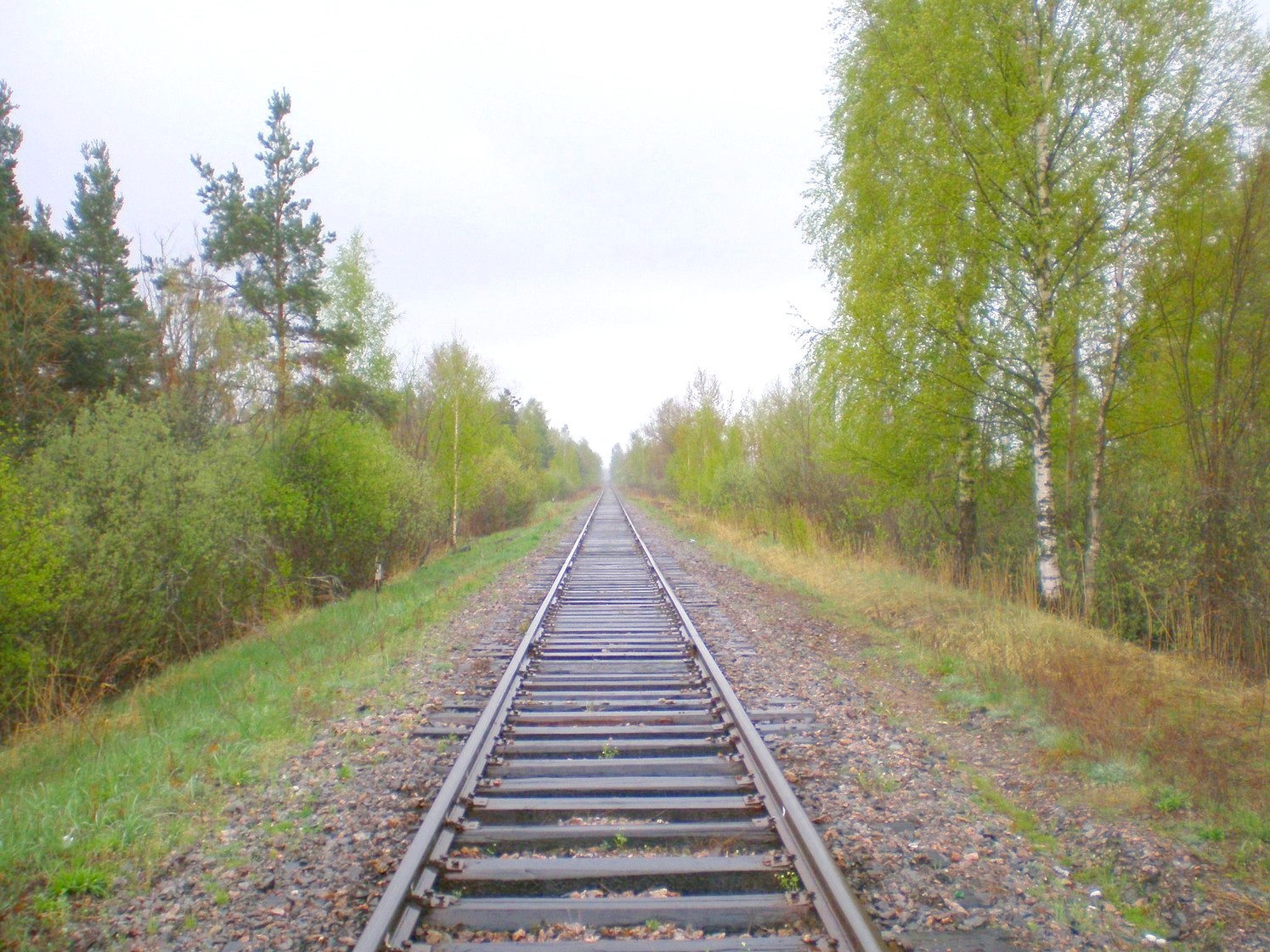 Железнодорожная линия Дорошиха — Васильевский Мох — фотографии, сделанные в 2008 году (часть 18)